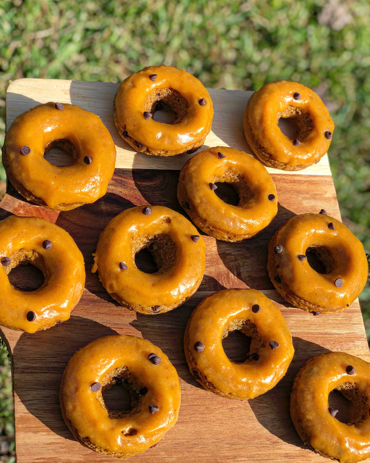 Pumpkin Chocolate Chip - vanfriendly
