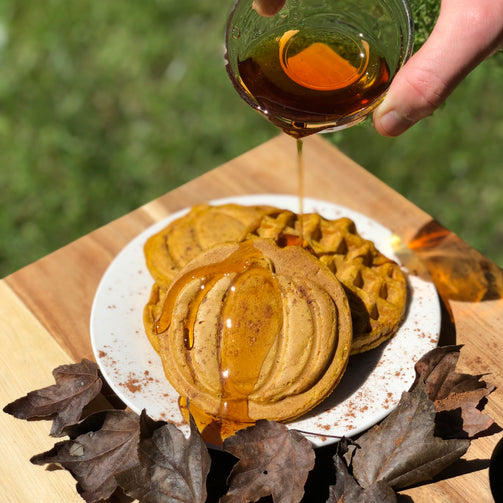 Pumpkin Spice Waffles 🎃 - vanfriendly
