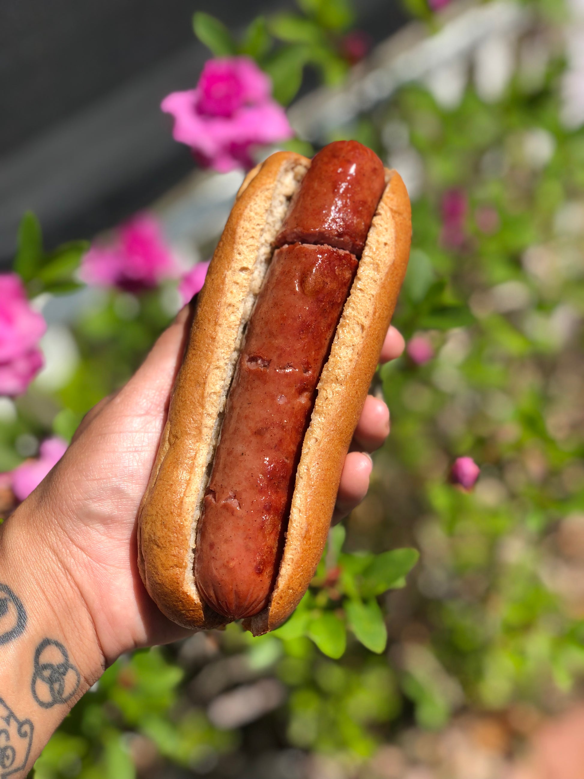 Hot Dog buns - vanfriendly